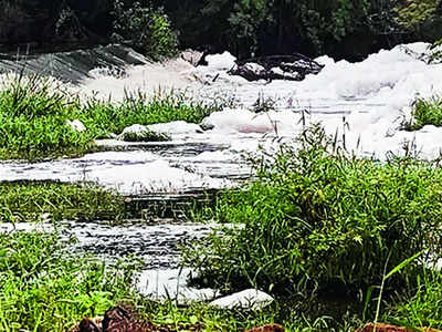 Foam alarm at Chandapura Lake