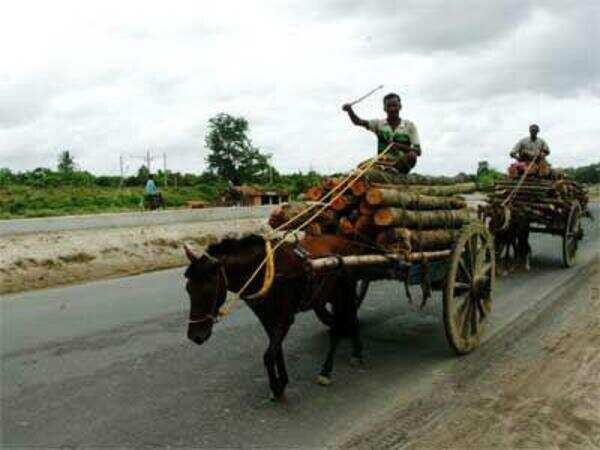 Govt constructs over 6k-km rural roads in Seemanchal