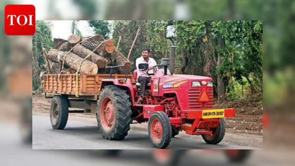 Forest dept enhances vigil in Nashik & Sambhajinagar amid LPG supply delay