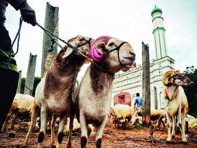 Bakrid shopping: Buyers, sellers haggle to seal deal