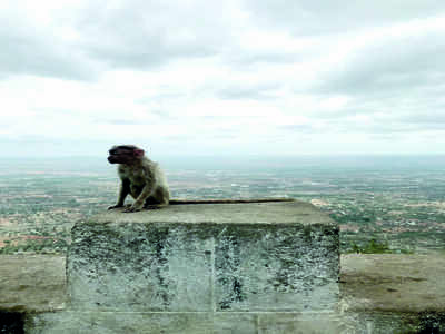 Story behind the photo: On top of the world