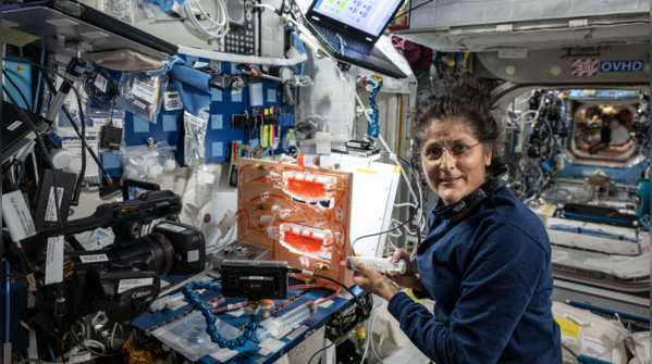 Sunita Williams researches plant growth