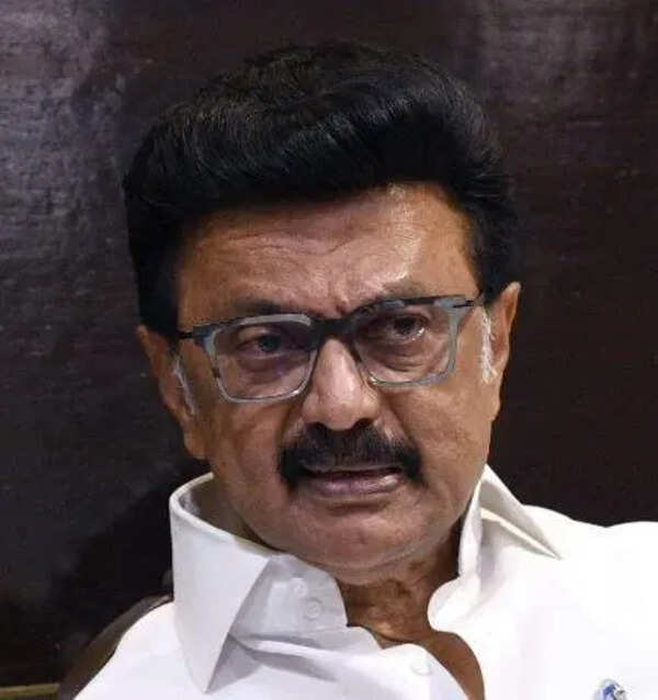 My first priority was to avoid re-election in TN, says Stalin