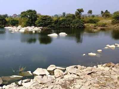 Brahmi inscription of Ashokan period found in Manjira Valley in Telangana village