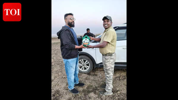 Saving the sparrows: Conservationists set up over 850 artificial nests for sparrows; 70% of them are already occupied