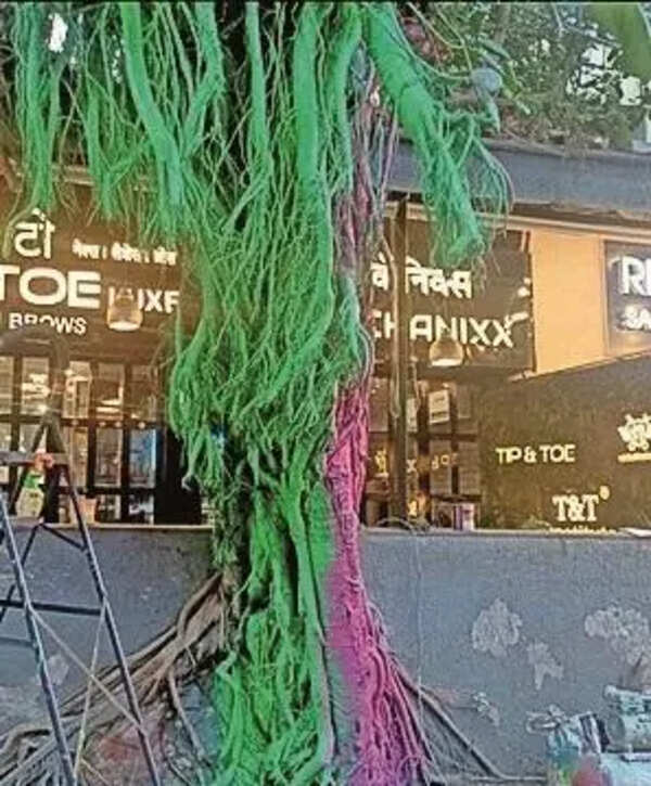 Bandra salon paints tree, BMC seeks police action