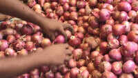 Vegetables prices soar in Prayagraj due to continuous downpour 