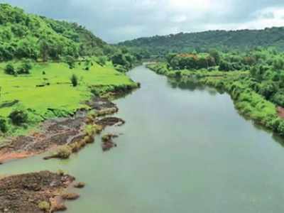 Karnataka to seek green nod for Mahadayi water project
