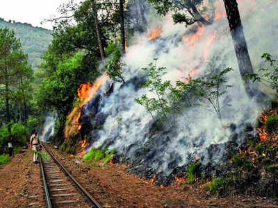 BM Trippin' Tales: Tourists run from city heat... to even hotter hill stations