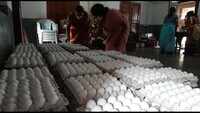 Visakhapatnam: Teachers distribute eggs to students under Jagananna Gorumudda Scheme 