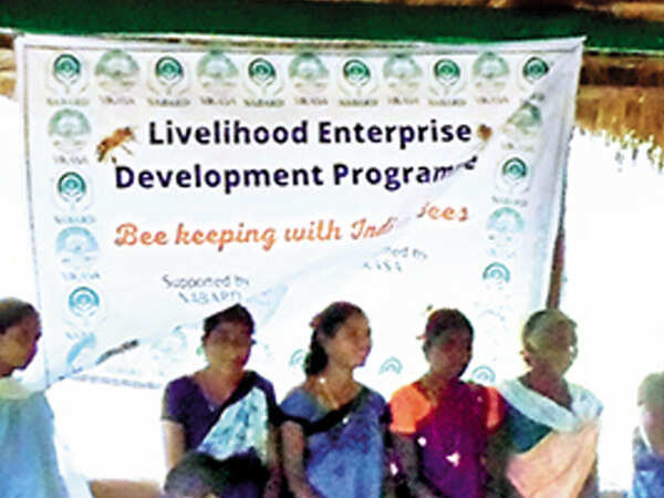 Andhra Pradesh: Training in beekeeping for Araku tribal women