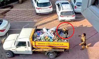 Puppy dies, Uruli staff face probe Puppy dies, Uruli staff face probe