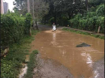 Night long rains drench Bengaluru; Apartments near Hulimavu lake flooded