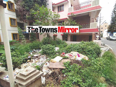 The Towns Mirror Special: A sore site for eyes and health