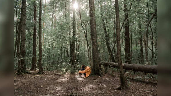 The procedure for forest bathing: How to do it right