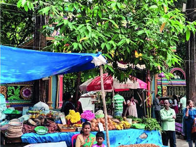 Nature’s comeback: Hope blooms in Malleswaram