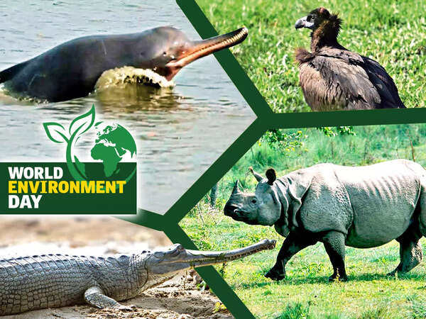 How did India revive its near-extinct species?