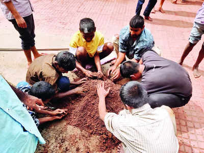 Green thumbs-up: Heal as you plant new seeds