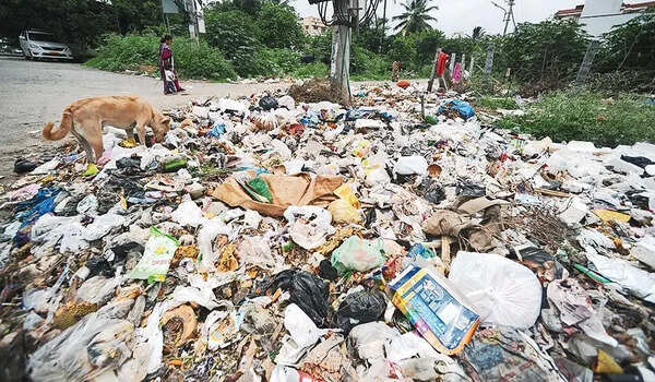 Street plays to promote cleanliness, waste segregation in Bengaluru