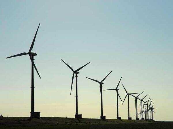 Government puts on hold auctions for 1 gigawatt of wind power projects