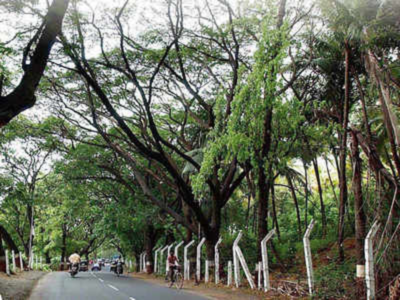 MMRC, FDCM undertake plantation of 9000 trees using Miyawaki method in Goregaon