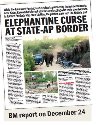 Elephant impasse ends; AP allows herd to go through