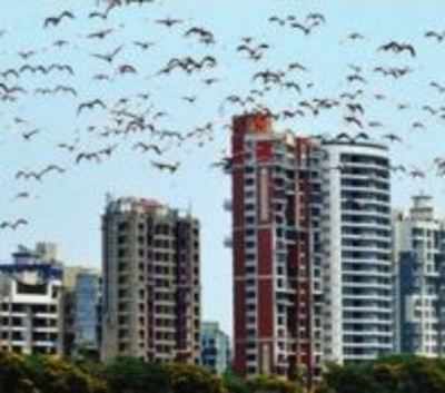 CM seeks plan to 'free up' Navi Mumbai land