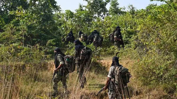 How commandos killed 5 Maoists in raid at boobytrapped Abujmarh headquarters in Maharashtra