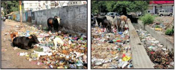 Lucknow: Only partial collection of garbage as company abstains from work