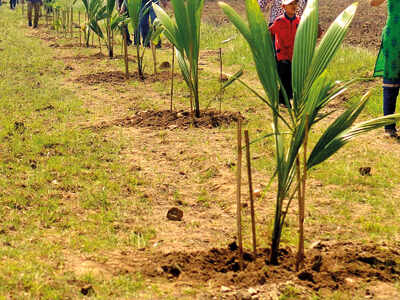 Forest dept to geotag 13 cr saplings