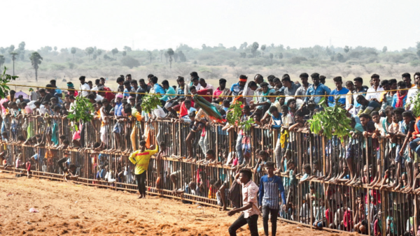 Jallikattu Jambore