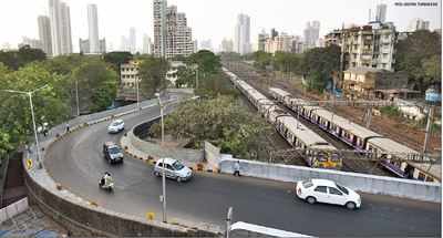 Byculla S-bridge gets Rs 2-crore facelift