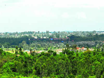 Hands off forest land as court foils conversion plan