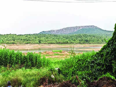 Dam this! Leak put villages near forest area at risk