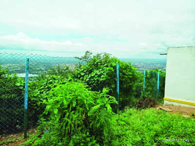 3-acre mark favours forest land-grabbers, says activist