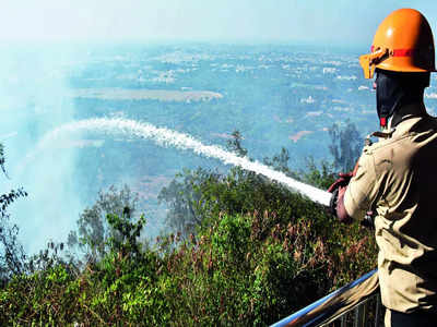 Seems like Karnataka is winning forest blaze race