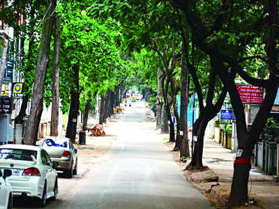 Malleswaram Mirror Special: ‘Let us save the trees together’