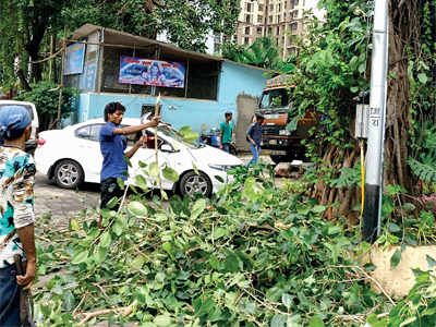 Sewri residents object to random tree cutting