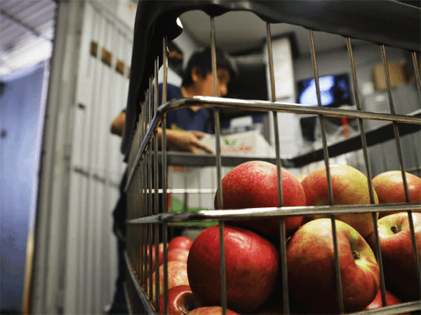 India suspends fruits from China after they fail pesticide tests