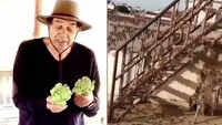 Dharmendra warns people of locusts, shares a video! 