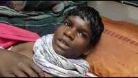 Herd of buffaloes saves 15-yr-old from bear attack in MP jungle 