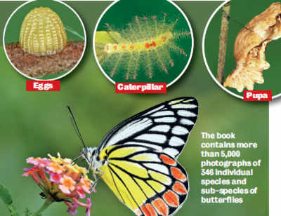 Karnataka: A guide to the butterflies of Western Ghats