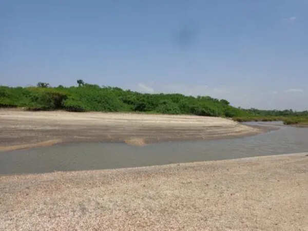 Centre gives in-principle clearance for diversion of 237.086 hectares of forest land and felling of nearly 40,000 trees for Vadhavan Port corridor in Maharashtra