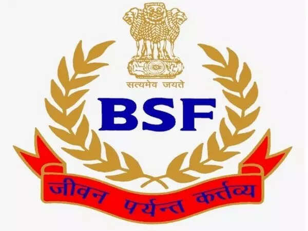 Arms smuggling bid from across the border foiled as BSF gun downed a drone in Fazilka