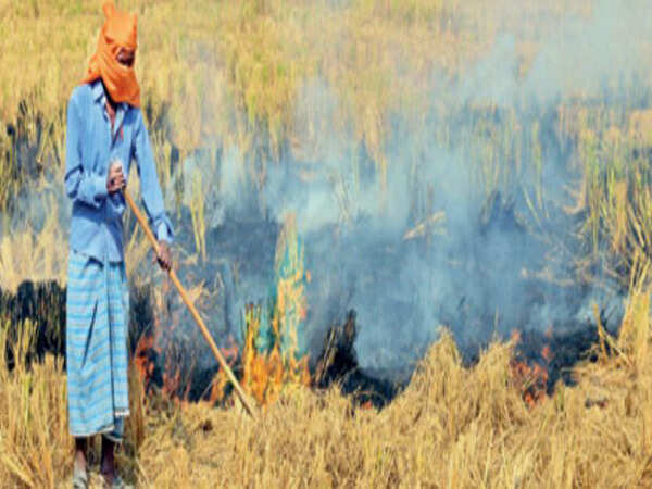 Financial aid to farmers is way forward to end stubble burning