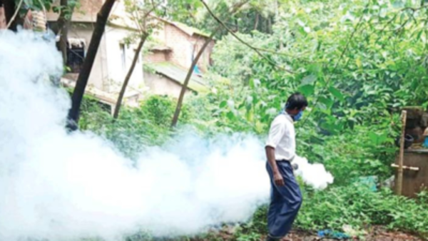 Chhalera, Sadarpur have 40% of Noida’s dengue cases