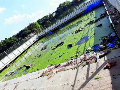 Festival aftermath: Calls to restore Herohalli Lake