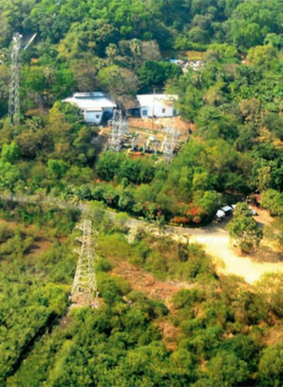 Expert panel gives go-ahead for power line; 50,000 trees in Kodagu forests will go