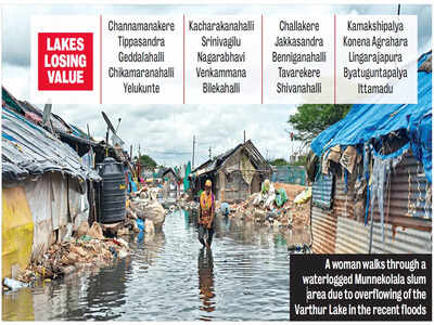 For Bengaluru’s sake, please save the lakes!