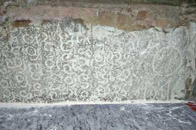Activists say inscription found in Sarakki can give new perspective